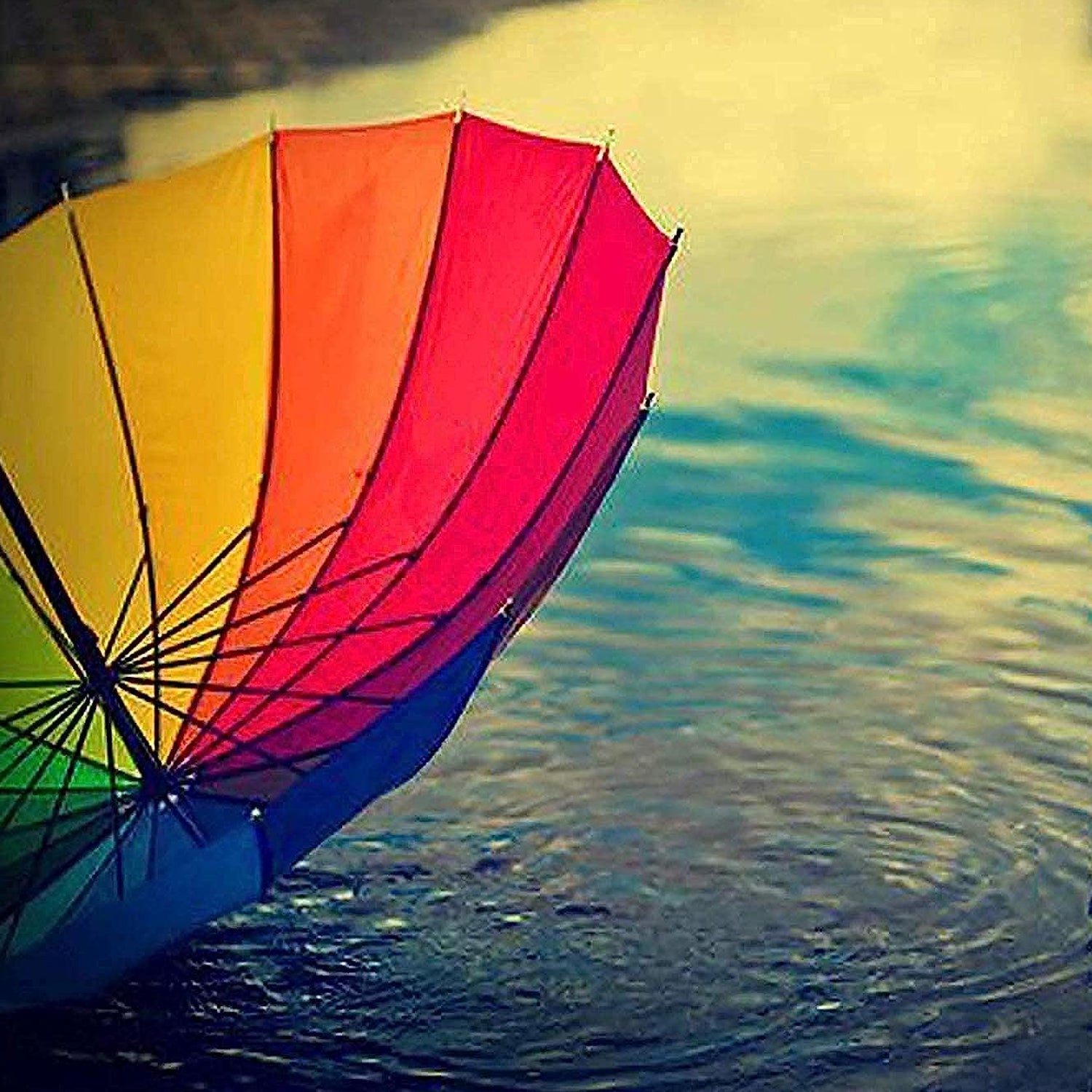 Rainbow Umbrella for Men & Women (Multicolor) - Bhavnagar Deodap