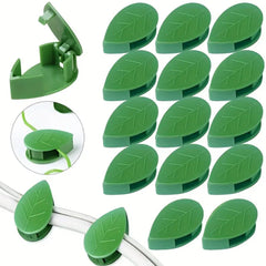 Plant Climbing Wall Fixture Clip Self-Adhesive Hook Vines Traction Invisible Stand Green Plant Clip Garden Wall Clip Plant Support Binding Clip Plants for Indoor Outdoor Decoration (30 Pcs Set) - Bhavnagar Deodap