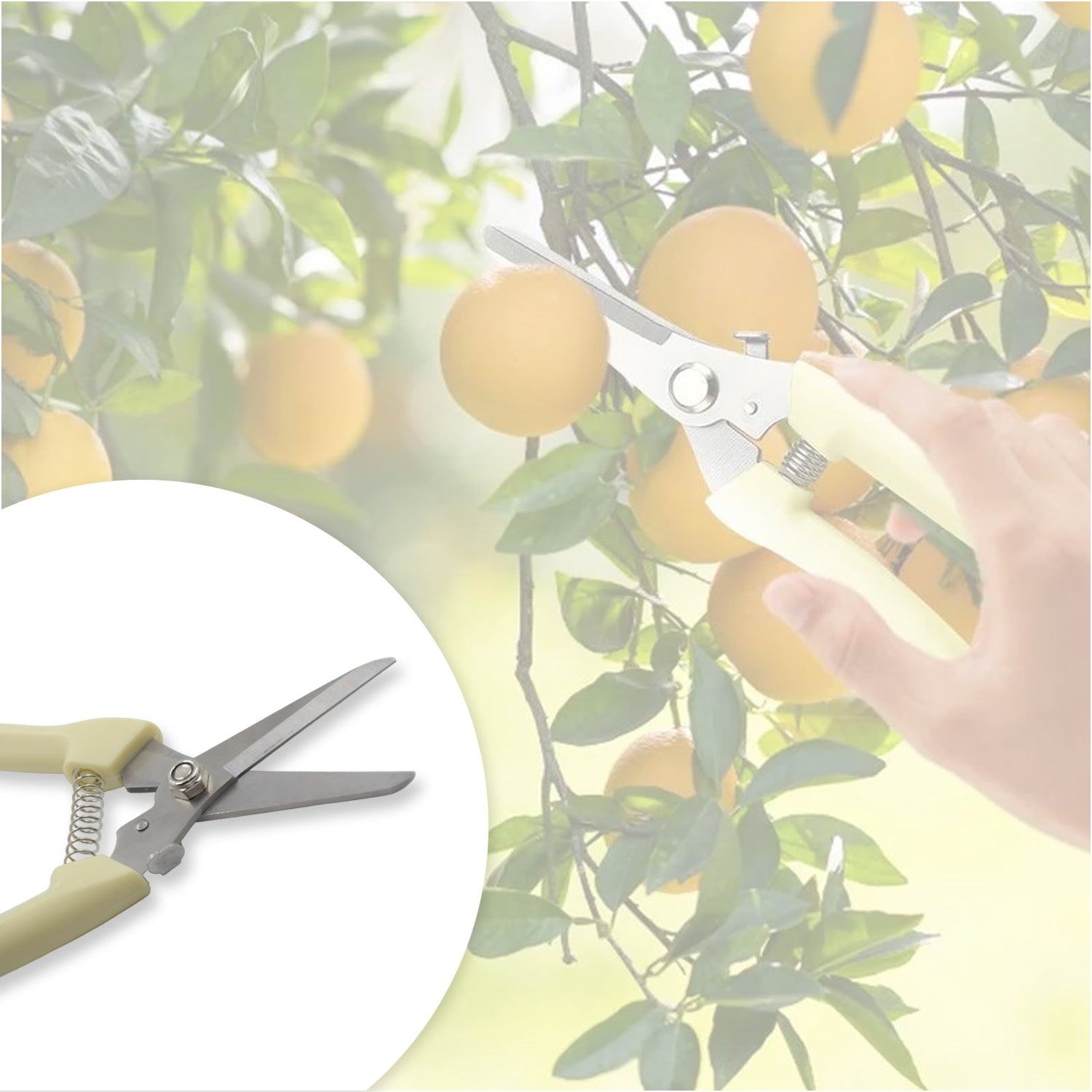 Garden Pruning Shears with Anti-Slip Handle Labor-Saving Fruit Tree Pruning Shears - Bhavnagar Deodap