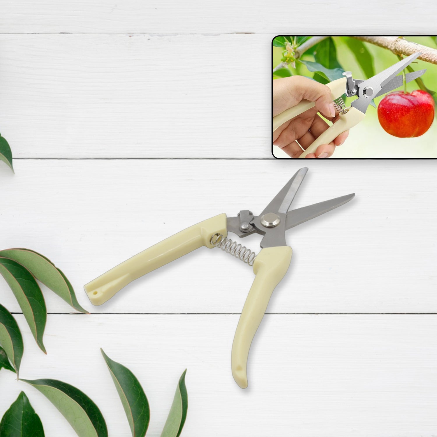 Garden Pruning Shears with Anti-Slip Handle Labor-Saving Fruit Tree Pruning Shears - Bhavnagar Deodap