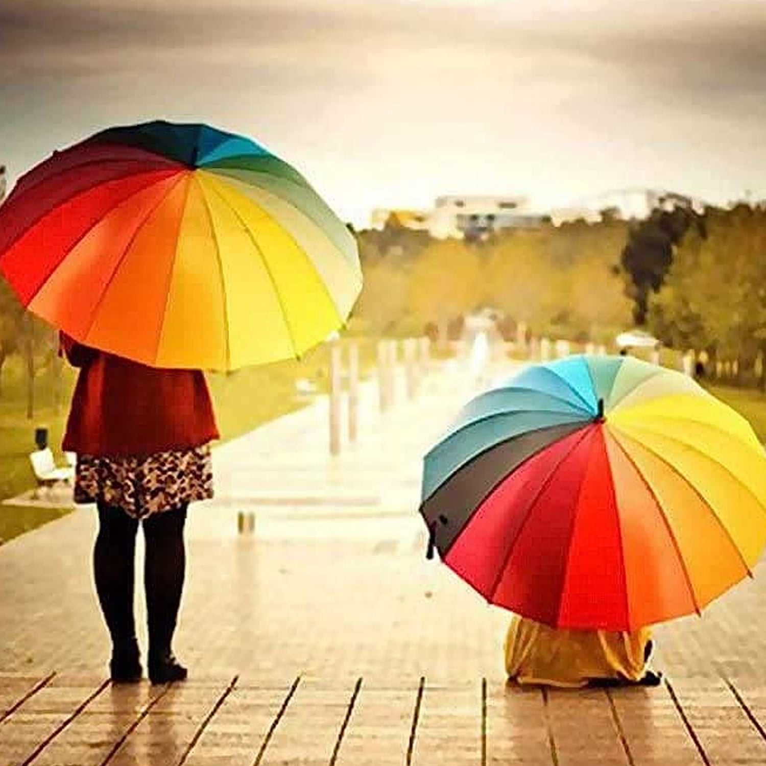 Rainbow Umbrella for Men & Women (Multicolor) - Bhavnagar Deodap