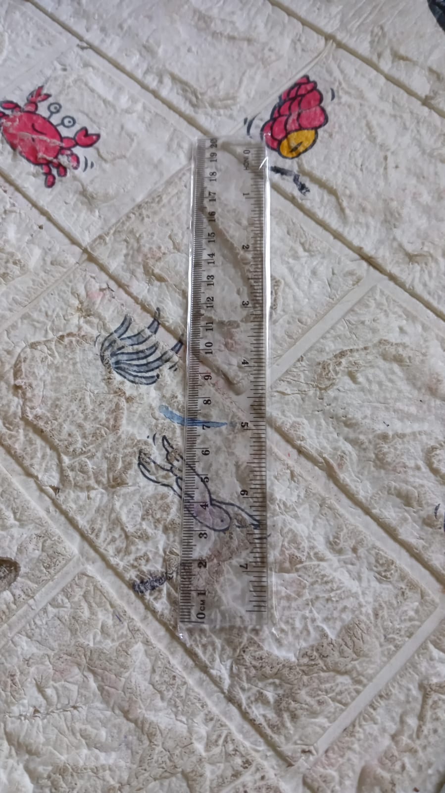 20Cm Ruler For Student Purposes While Studying And Learning In Schools And Homes Etc. (1Pc) - Bhavnagar Deodap