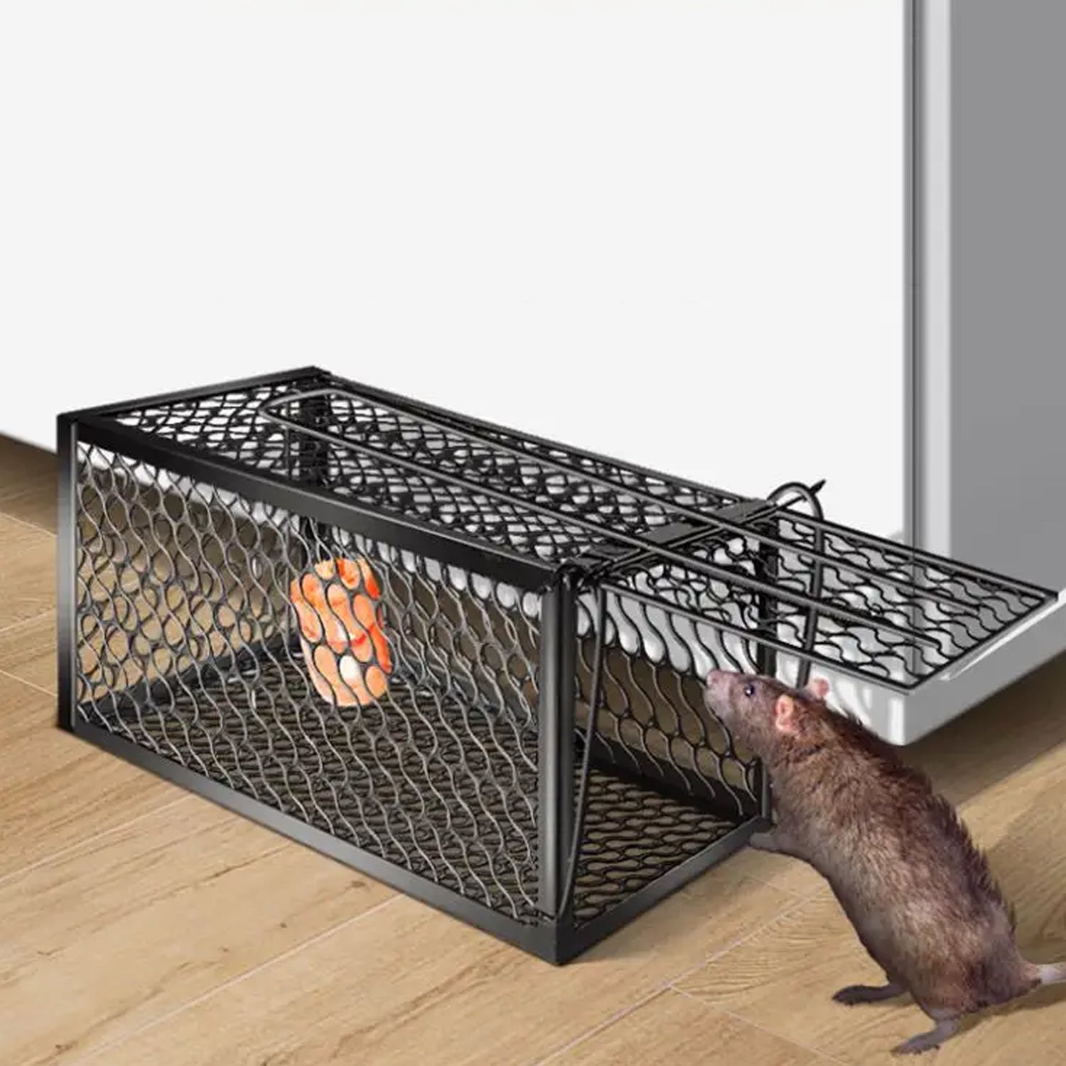 Foldable Mouse Trap Squirrel Trap Small Live Animal Trap Mouse Voles Hamsters Live Cage Rat Mouse Cage Trap for Mice Easy to Catch and Release - Bhavnagar Deodap