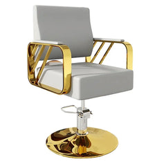 Modern Regular Chair with Hydraulic Lift for Home Office Hotel Cafe Chair (1 Unit Silver & Gold) - Bhavnagar Deodap