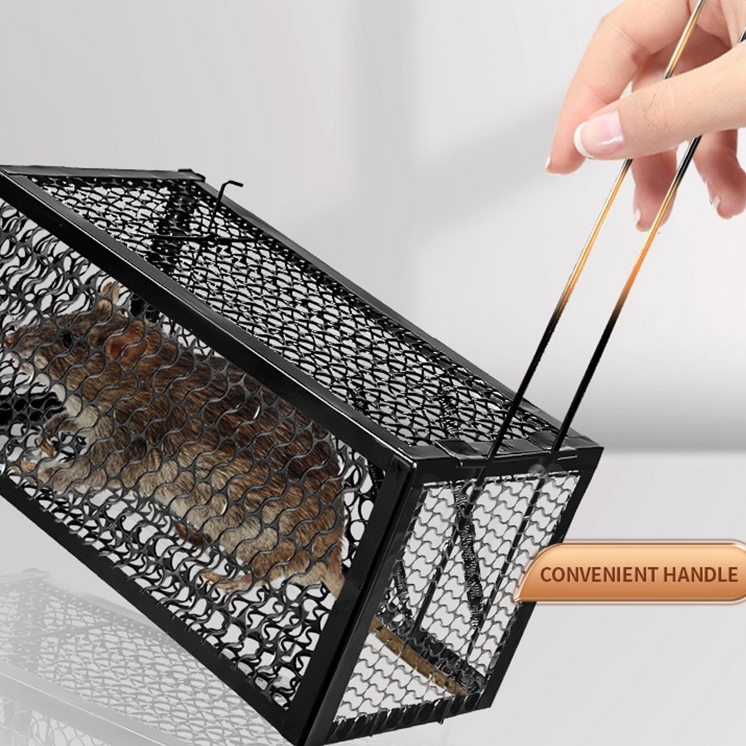 Foldable Mouse Trap Squirrel Trap Small Live Animal Trap Mouse Voles Hamsters Live Cage Rat Mouse Cage Trap for Mice Easy to Catch and Release - Bhavnagar Deodap