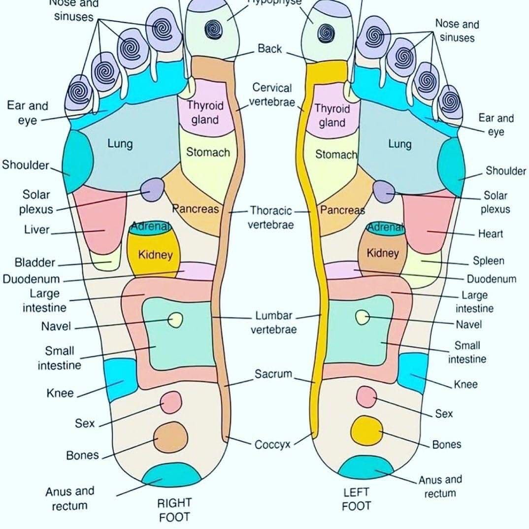 Reflexology Socks with Amber Acupuncture Point Massage Stick Reflexology Ankle Socks for Trigger Point Massage Women Therapeutic Socks for Relaxation - Bhavnagar Deodap