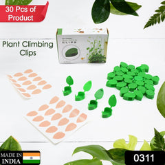 Plant Climbing Wall Fixture Clip Self-Adhesive Hook Vines Traction Invisible Stand Green Plant Clip Garden Wall Clip Plant Support Binding Clip Plants for Indoor Outdoor Decoration (30 Pcs Set) - Bhavnagar Deodap