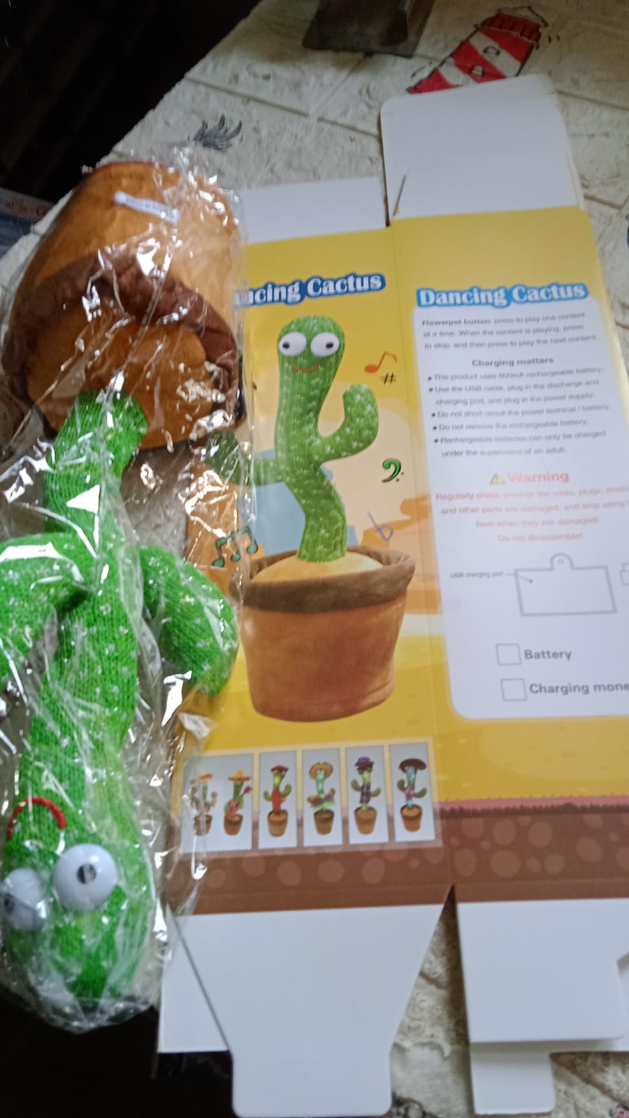 Dancing Cactus Toy - Bhavnagar Deodap